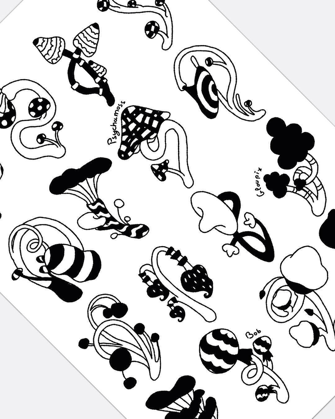 La collection de champignon - Affiche A3