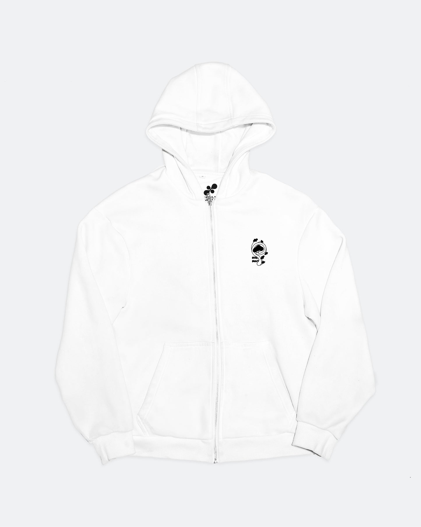 Cabinet de Curiosité