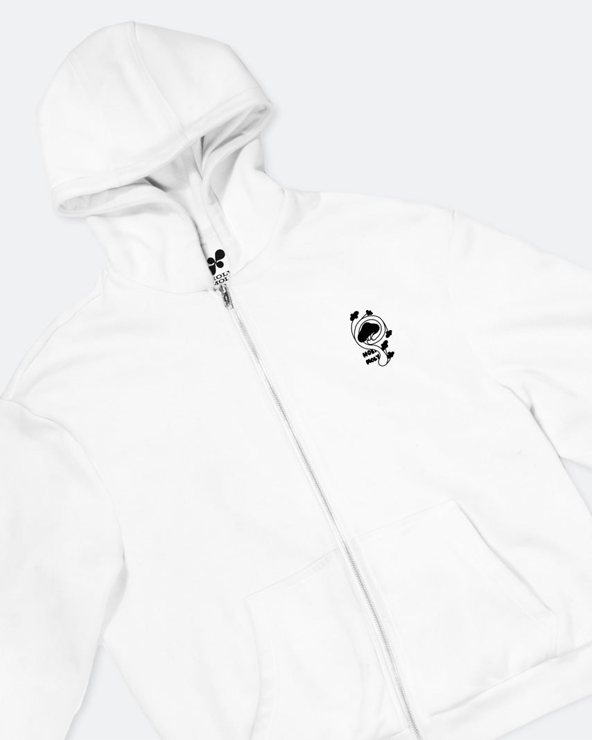 Cabinet de Curiosité