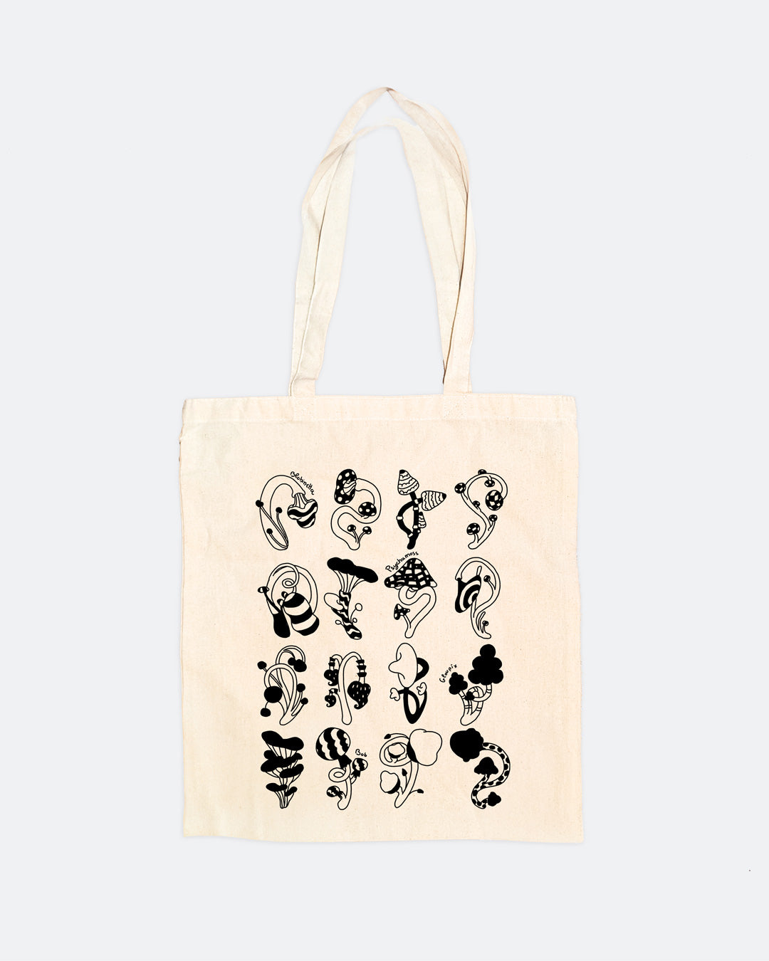 Cabinet de curiosité