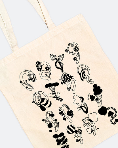 Cabinet de curiosité