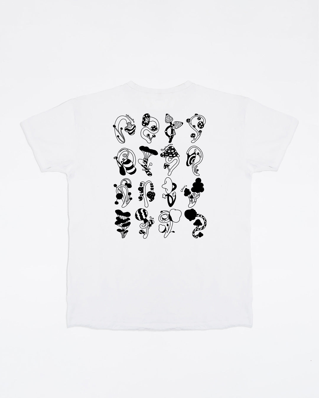 Cabinet de curiosité