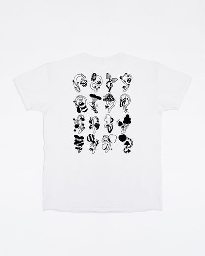 Cabinet de curiosité