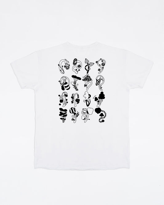 Cabinet de curiosité