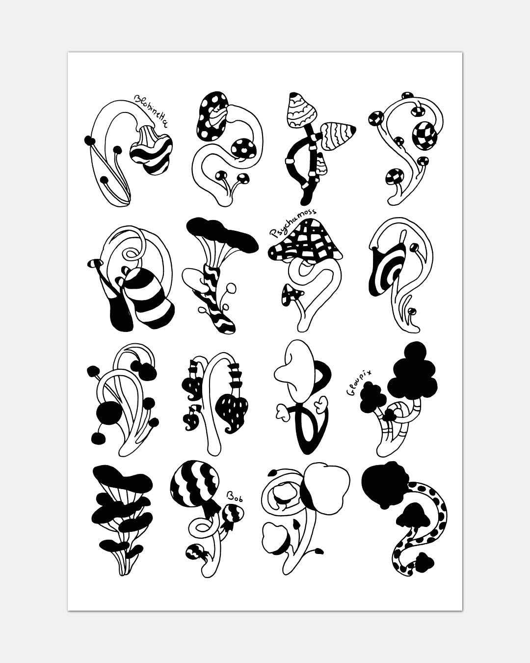 La collection de champignon - Affiche A3