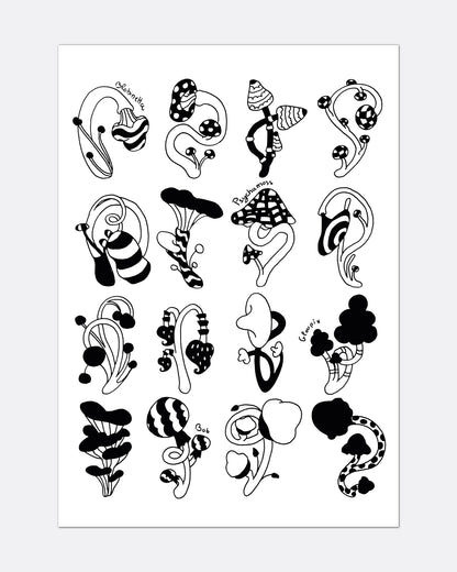 La collection de champignon - Affiche A3