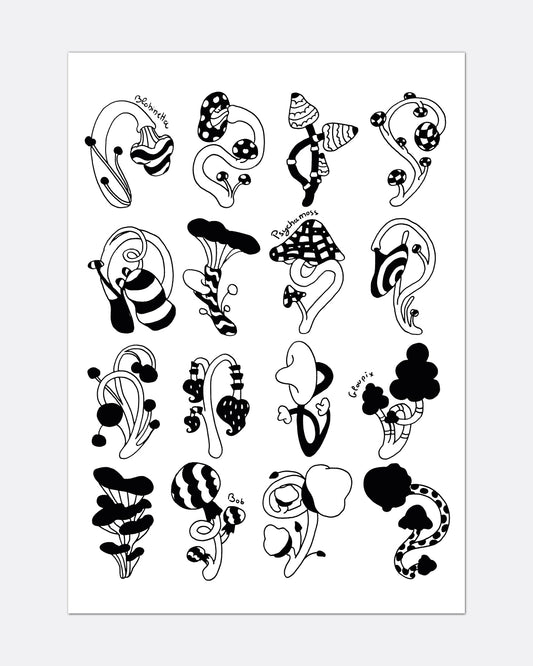 La collection de champignon - Affiche A3