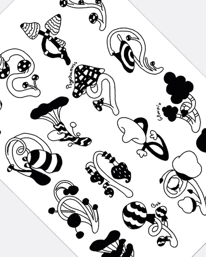 La collection de champignon - Affiche A3